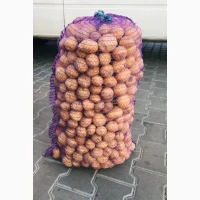 Продам насіння картоплі рів’єра