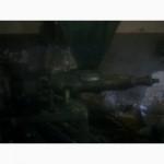 Продам маслопресс МПШ-130