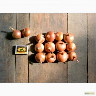 Продаю лук штутгарт на перо