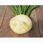 Продаю лук штутгарт на перо