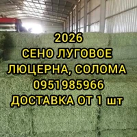 Люцерна, луговое сено в тюках. доставка