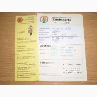 Продам Пчеломатки
