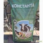 Утка Мулард суточный