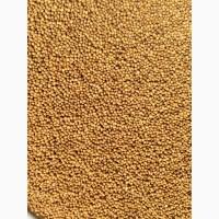 Продам горчицу желтую (Сидерат)