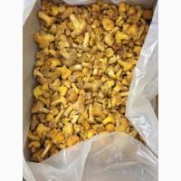 Продам лисичку свіжо морожену