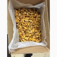 Продам лисичку свіжо морожену