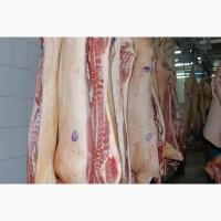 Продам свинину в п/т, разделку, субпродукты, говядину