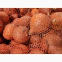 Продам тыкву Хоккайдо
