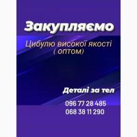 Закупляємо Цибулю високої якості ( оптом)