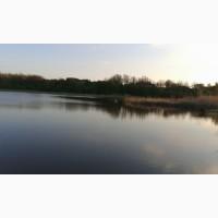 Продам рибне господарство