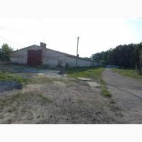 Продається діючий елеваторний комплекс з залізничною гілкою