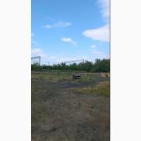 Продається діючий елеваторний комплекс з залізничною гілкою