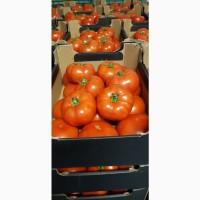 Продам помідори