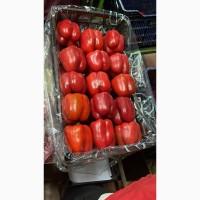 Перец экспорт из Турции