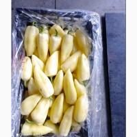 Перец экспорт из Турции