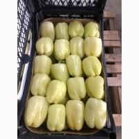 Перец экспорт из Турции