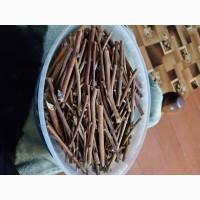 Гілка малини