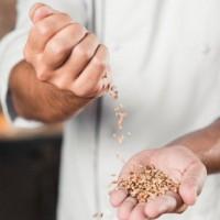 Продам пшеницю 4 клас, 500 т., Полтавська обл., с. Зубані