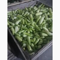 Продамо кабачок( перероб)