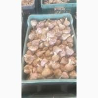 Продам товарний часник