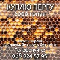 Перга куплю оптом