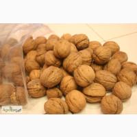 Куплю горіх оптом