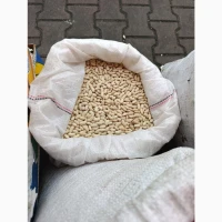 Продам Квасолю