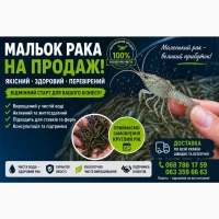 Мальок Рака