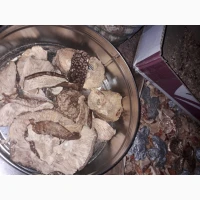 Королівский молотий мухомор, також червоний молотий мухомор