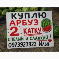 Куплю арбуз, 2 катку
