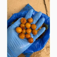 Продам Черешню жовту з кісткою заморожену
