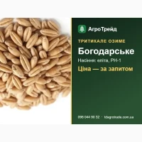 Сорт Богодарське (озиме тритикале) - насіння еліта, РН-1 з документами