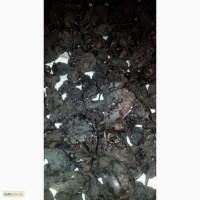 Продам Сушені Груші