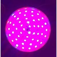 Фито освещение Led. Светильники, лампы, лента
