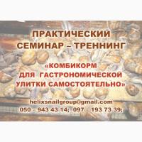 Улиточная ферма методом Шторного Занавеса. Обучающий курс - практикум