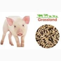 ПП НАСТКА УКРАЇНА реалізовує комбікорм для поросят Cтарт ТМ Grassland