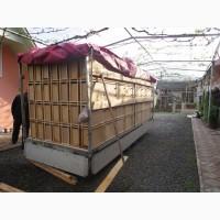 Продам бджолопакети поштою або самовивіз