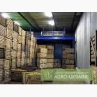 Сдам овощехранилище 1800 м, можно отдельную камеру 200 м, г. Горловка, Донецк