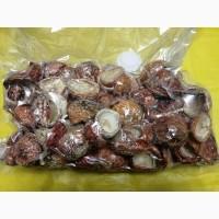 Мухомор красный сушеный отборный. Высший сорт. Урожай 2025 г. Аманита