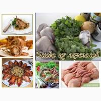 Перепел, перепёлка. тушки перепелов, перепела мясо охлажденное