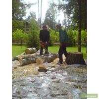 Расчистка участка Киевская область