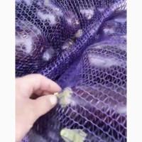 Продам баклажан