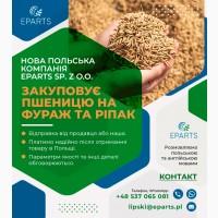 Польська компанія купує фуражну пшеницю 4 класу