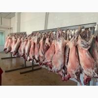 Баранина с Аккредитив на ОАИ