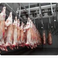 Баранина с Аккредитив на ОАИ