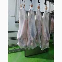 Баранина с Аккредитив на ОАИ