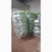 Продам Капусту(центуріон)