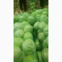 Продам Капусту(центуріон)