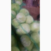 Продам Капусту(центуріон)