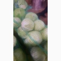 Продам Капусту(центуріон)